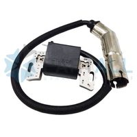 Модуль зажигания WINZOR для двигателей Briggs & Stratton 21R507, 21R602, 21R607, 21R677, 21R702 (точная применяемость в описании).