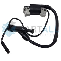 Модуль зажигания WINZOR для двигателей Briggs & Stratton 19N132 (точная применяемость в описании)